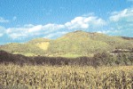 Der Trachyandesitsteinbruch in der Klausen vor Bad Gleichenberg.
