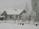 Raning im Winterkleid