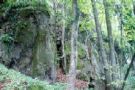Waltrafelsen