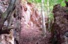 Basaltspalte