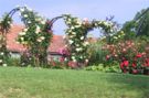 Rosarium am Rosenberg