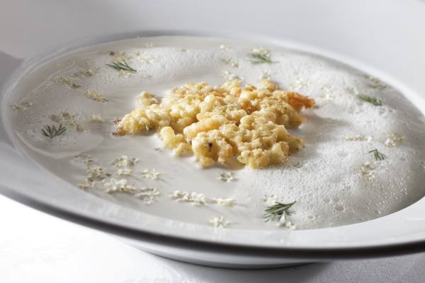 Rezept Holunderschaumsuppe mit gebackener Holunderblüte (von Raimund Pammer)