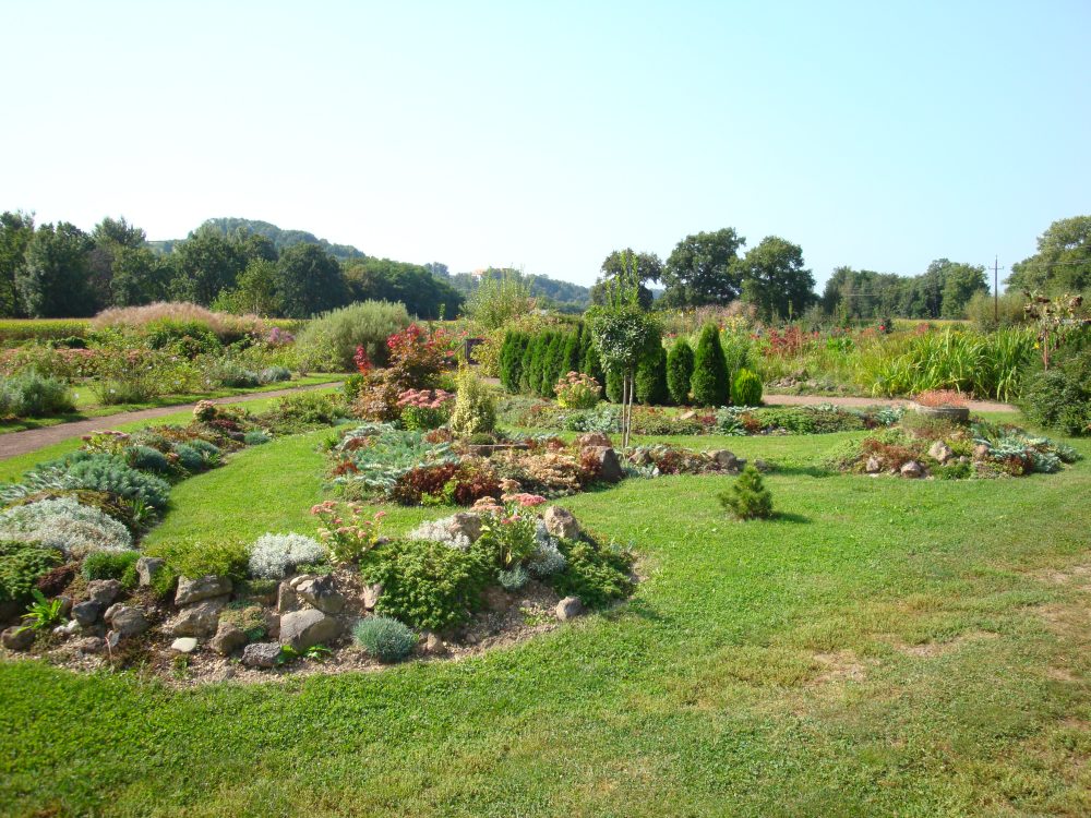 Klimaschutzgarten Gosdorf