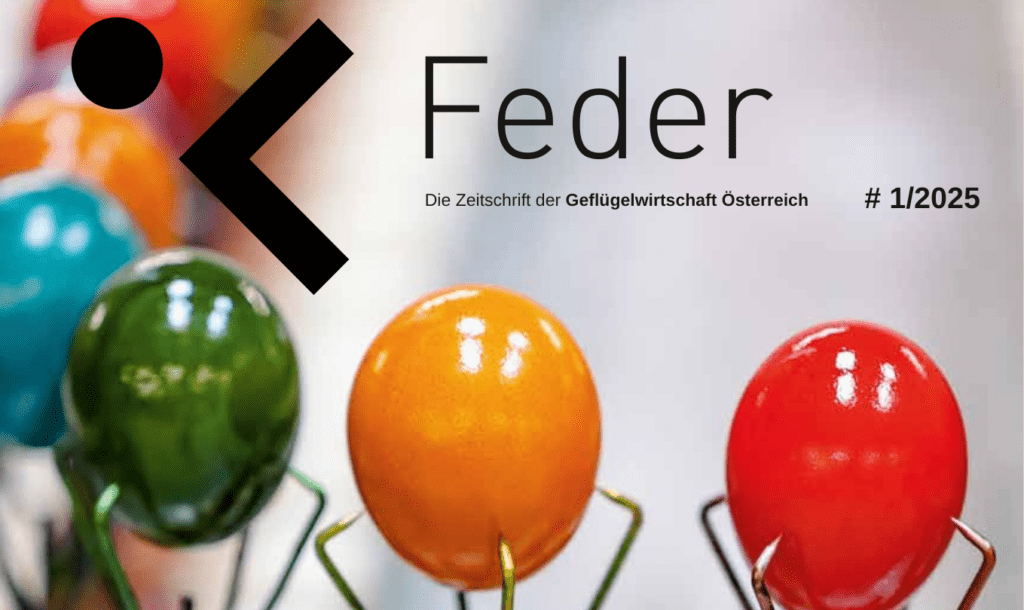 Medienbericht_Feder