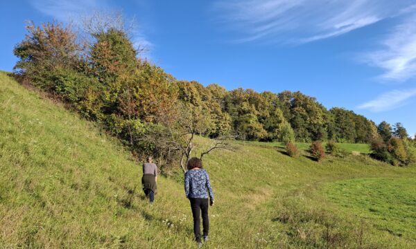 Leben am Ackerrand - eine Wanderung in Oberspitz