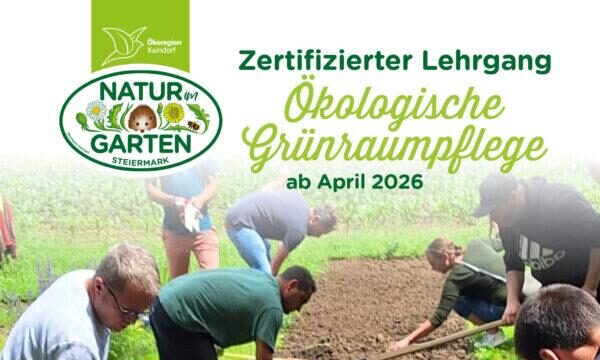 Lehrgang26_IGPost